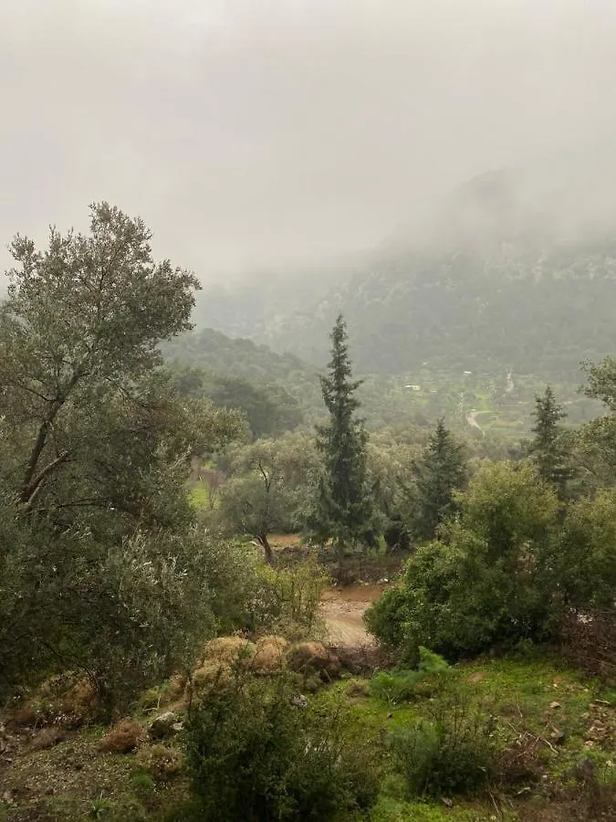 Five Senses Bodrum Glamping Turkey